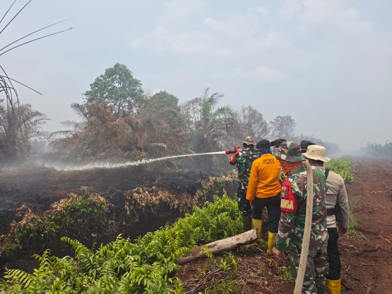 Petugas gabungan melakukan pemadaman dan pendinginan karhutla di Kabupaten Bengkalis, Riau, Selasa (11/8/2026). Kebakaran terjadi di tiga lokasi dengan total lahan terdampak sekitar 22,3 hektare. (ist)