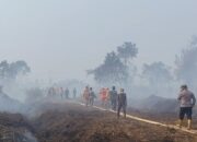 1.948 Kasus ISPA di Riau, Ibu Hamil hingga Lansia Jadi Perhatian Khusus