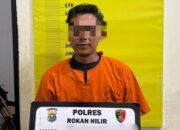 Dugaan Perusakan Hutan Mangrove di Rohil, Penghulu Teluk Piyai Jadi Tersangka