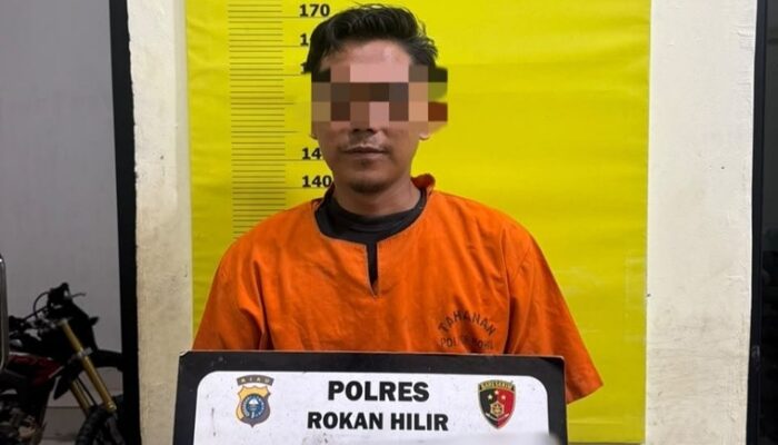 Dugaan Perusakan Hutan Mangrove di Rohil, Penghulu Teluk Piyai Jadi Tersangka