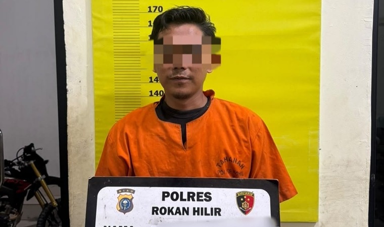 Dugaan Perusakan Hutan Mangrove di Rohil, Penghulu Teluk Piyai Jadi Tersangka