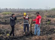 Garap Lahan di Kawasan HPT, Pria Paruh Baya di Bengkalis Jadi Tersangka