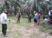 Dua Warga Jadi Korban Kawanan Gajah Liar di Bengkalis, BBKSDA: Bukan di PLG