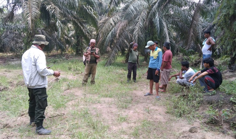 Dua Warga Jadi Korban Kawanan Gajah Liar di Bengkalis, BBKSDA: Bukan di PLG