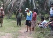 Remaja 18 Tahun di Bengkalis Diduga Ditendang Gajah Liar, Begini Kata Balai Besar KSDA Riau