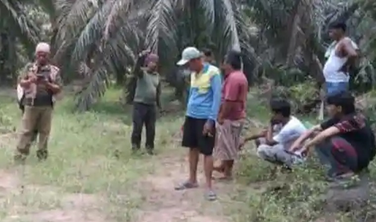Remaja 18 Tahun di Bengkalis Diduga Ditendang Gajah Liar, Begini Kata Balai Besar KSDA Riau
