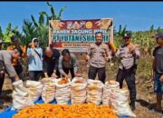 Panen 2 Ton Jagung di Kampar, Polsek Kawal Sinergi Perusahaan Dukung Swasembada Pangan