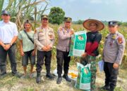 Bukan Sekadar Serahkan Pupuk, Polsek Tambang Dorong Petani Jadi Motor Swasembada Pangan