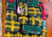Bukan Cuma Sabu, 122 Ribu Ekstasi Ikut Disita di Bengkalis
