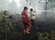 Enam Hari Lawan Karhutla, Gambut 5 Hektare Rimbo Panjang Masih Berasap