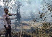 Empat Hari Dilalap Api, Tim Gabungan Kembali Kepung Karlahut Temeran Bengkalis