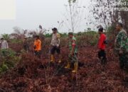 Hujan Guyur Pinggir, Karhutla Buluh Apo Padam Total
