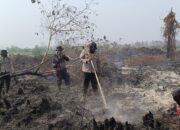 Api Padam, Bara Gambut Mengintai: 283 Personel Masih Bertahan di Rimbo Panjang