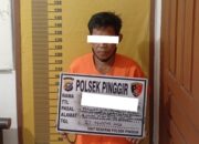 Babat Hutan di Konsesi PT Arara Abadi, 2 Warga Bengkalis Diamankan Polisi