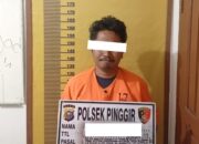 Karhutla di Buluh Apo Bongkar Kebun Sawit Ilegal, Pria 29 Tahun Diciduk Polsek Pinggir