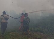 Makin Parah, Karhutla di Riau Tembus 16 Ribu Hektare