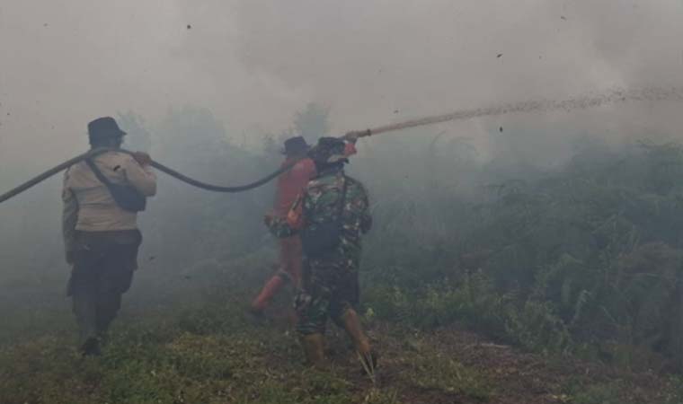Makin Parah, Karhutla di Riau Tembus 16 Ribu Hektare