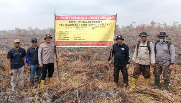 Polres Rohil Tetapkan Buruh Tani sebagai Tersangka Karhutla 30 Hektare, Begini Kasusnya