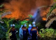 Karhutla Ancam TN Zamrud di Siak, Api Sudah Masuk 100 Meter