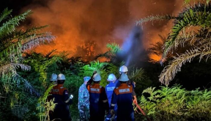 Karhutla Ancam TN Zamrud di Siak, Api Sudah Masuk 100 Meter