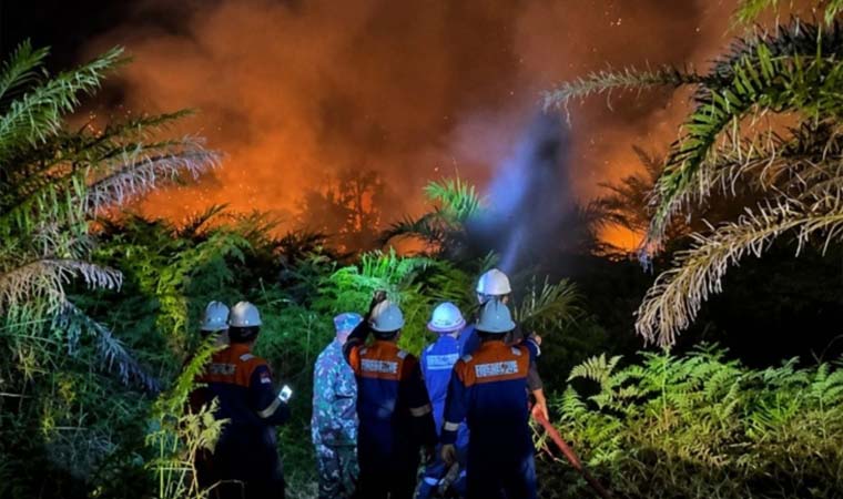 Karhutla Ancam TN Zamrud di Siak, Api Sudah Masuk 100 Meter