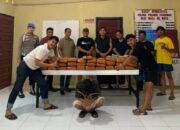 Polres Padang Pariaman Sita 61 Paket Besar Ganja, Seorang Pria Ditangkap