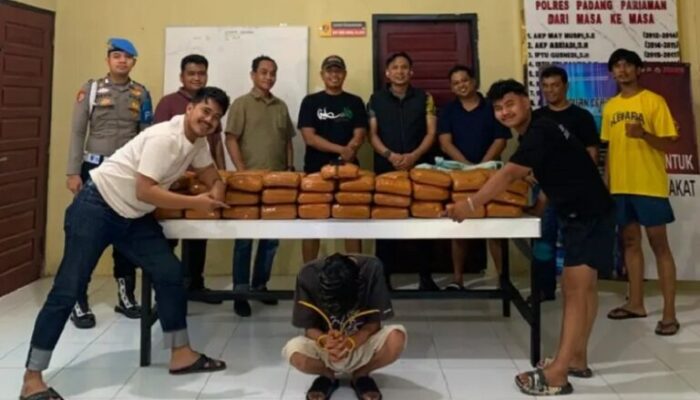 Polres Padang Pariaman Sita 61 Paket Besar Ganja, Seorang Pria Ditangkap