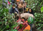 Lansia yang Hilang di Lereng Gunung Marapi Ditemukan Selamat, Dievakuasi dengan Tandu Darurat