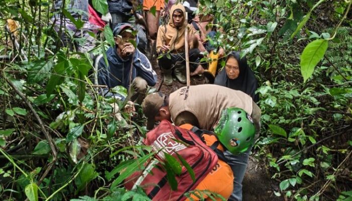 Lansia yang Hilang di Lereng Gunung Marapi Ditemukan Selamat, Dievakuasi dengan Tandu Darurat