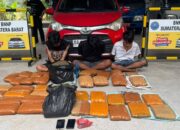 Jaringan Ganja Sumut-Sumbar Terbongkar, BNNP Tangkap 3 Tersangka