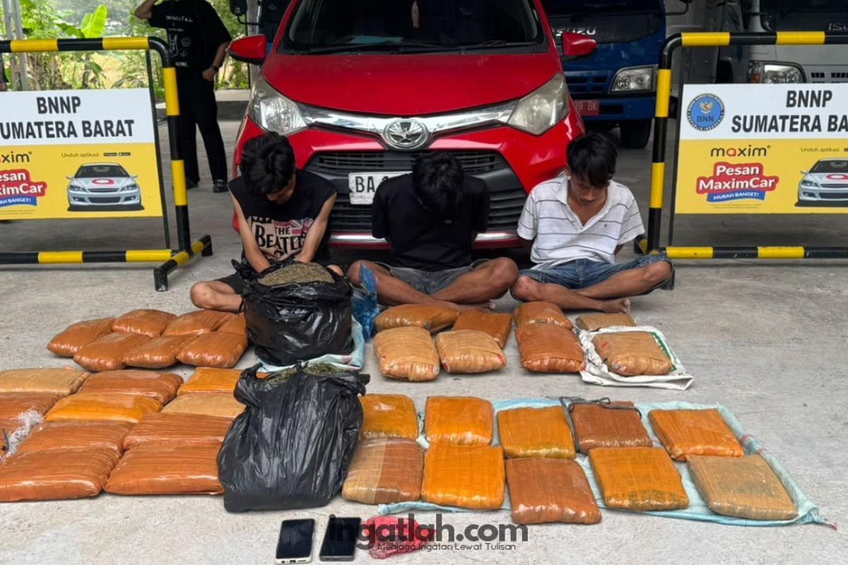 Tiga pelaku dan barang bukti 44 kg ganja saat diamankan BNNP Sumbar, Minggu (6/9/2006). (dok. BNNP)