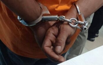Bakar Lahan untuk Buka Kebun, Pria 39 Tahun di Rohul Jadi Tersangka Karhutla