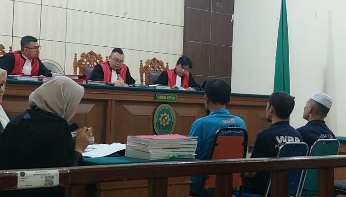 Sidang Kasus Perburuan Gading Gajah di Pelalawan Berulang Kali Ditunda, Koalisi Soroti Kesiapan Penegak Hukum