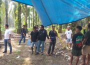 9 Pelaku Ditangkap, Korban Penyerangan Tambusai Utara Desak Polisi Ungkap Dalang