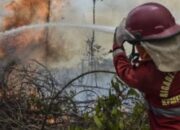 Karhutla Riau Bertambah 87,9 Hektare