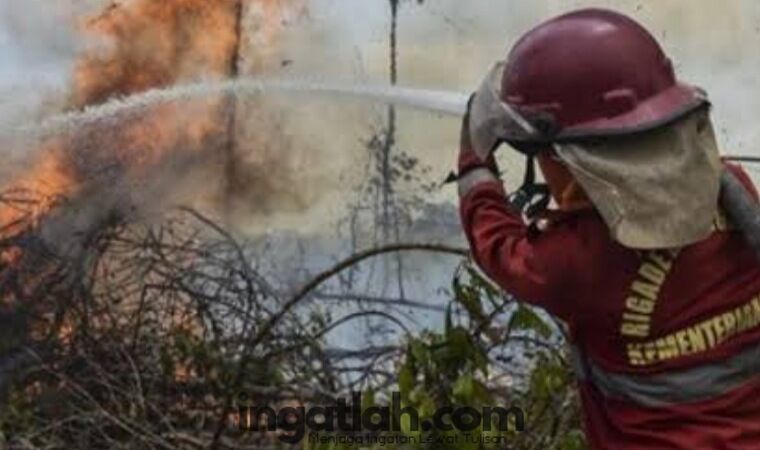 Karhutla Riau Bertambah 87,9 Hektare