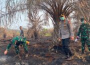 Kapolda Riau dan Pangdam Turun Ke Siak, Pastikan Penanganan Karhutla Berjalan Optimal