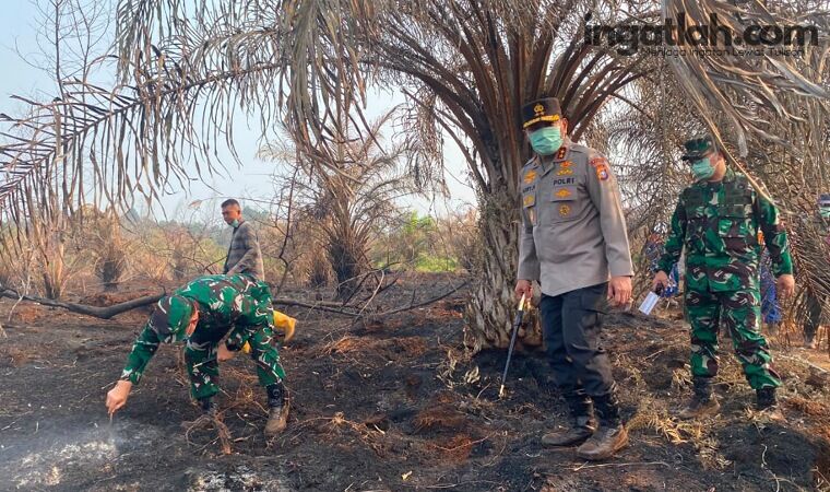 Kapolda Riau dan Pangdam Turun Ke Siak, Pastikan Penanganan Karhutla Berjalan Optimal