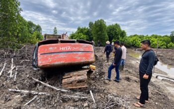 Selain Tetapkan Tersangka, Polda Riau Sita Ekskavator Kasus Perambahan 111,77 Hektare Mangrove Dumai