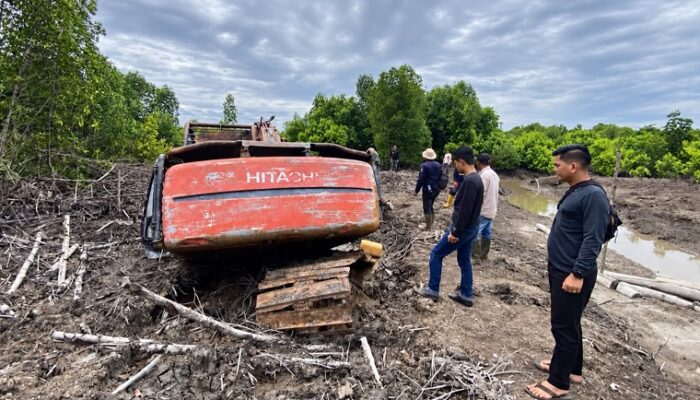 Selain Tetapkan Tersangka, Polda Riau Sita Ekskavator Kasus Perambahan 111,77 Hektare Mangrove Dumai