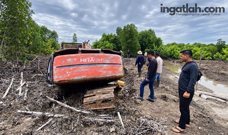 Selain Tetapkan Tersangka, Polda Riau Sita Ekskavator Kasus Perambahan 111,77 Hektare Mangrove Dumai