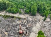 Polda Riau Bongkar Perambahan 111,77 Hektare Mangrove Dumai, Pria Lansia Jadi Tersangka