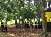 Geger! Mayat Pria 23 Tahun Ditemukan di Pohon Belakang RS UNRI Pekanbaru