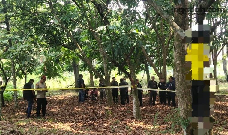 Geger! Pria 23 Tahun Ditemukan Meninggal di Pohon Belakang RS UNRI Pekanbaru