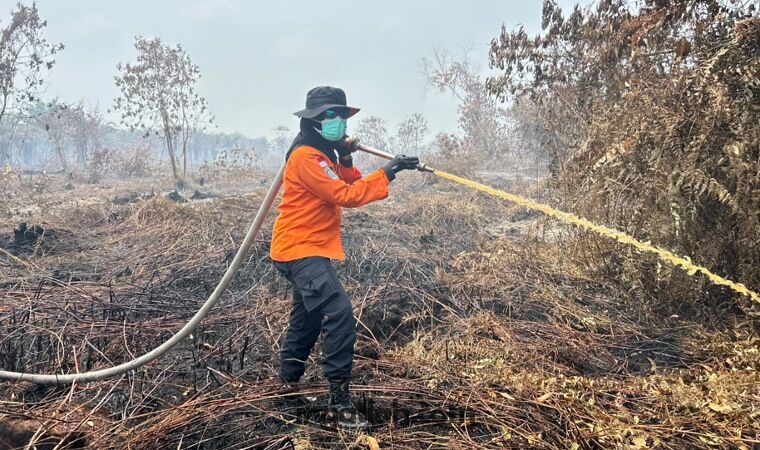 Srikandi Basarnas Turun Padamkan Karhutla Dumai, Sari: Tugas Adalah Kehormatan