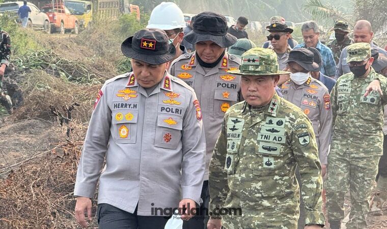 Kapolda dan Pangdam Cek Karhutla 70 Hektare di Inhu, Gambut Jadi Perhatian