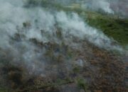Setelah Hujan, Hotspot Riau Turun dari 44 Menjadi 12 Titik