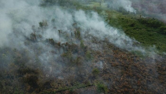 Setelah Hujan, Hotspot Riau Turun dari 44 Menjadi 12 Titik