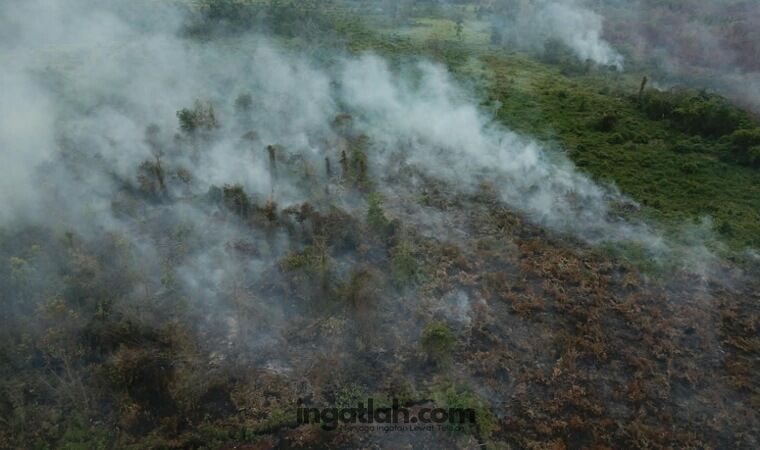Setelah Hujan, Hotspot Riau Turun dari 44 Menjadi 12 Titik
