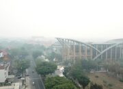 Asap Masih Menyelimuti, Kualitas Udara Pekanbaru Masuk Kategori Tidak Sehat